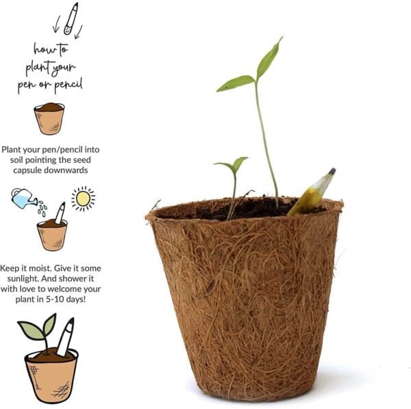 grow kit