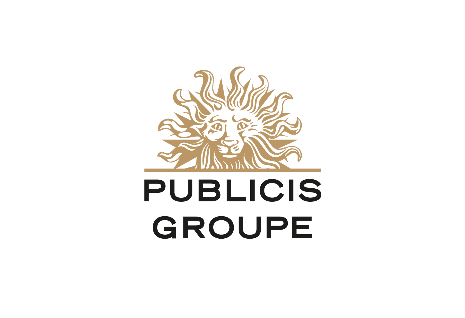 pulicis groupe logo